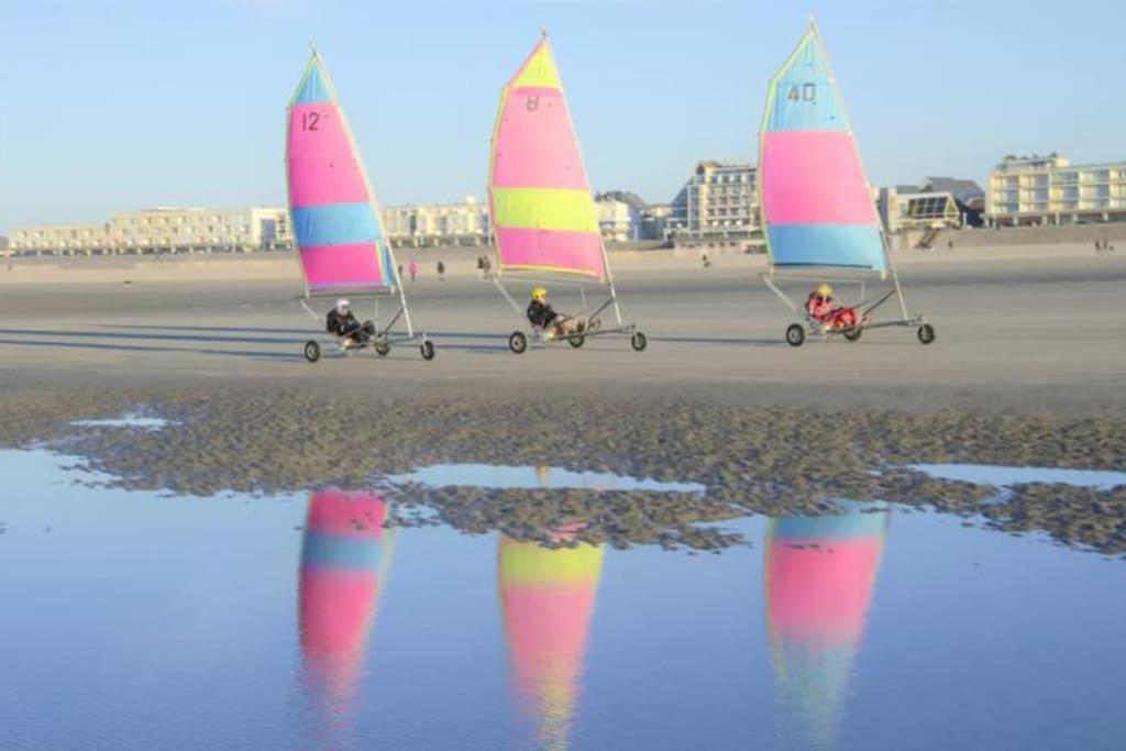 Cozy D'Opale Charmant T1 Bord De Mer Cour Privee Et Clot Wifi 3 Pers Animaux Acceptes Gratuit Apartment Berck Bagian luar foto